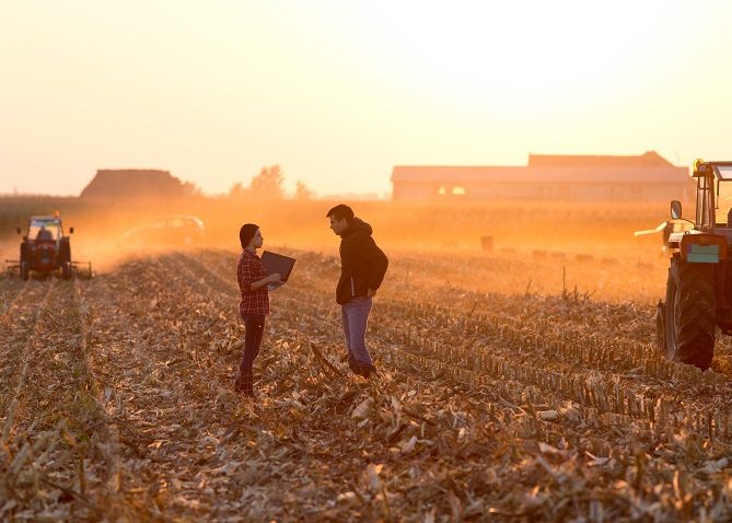 Farmers talking on field