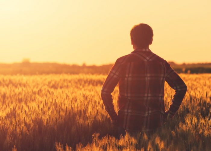 Fotolia_159630275_M-e1548730053637