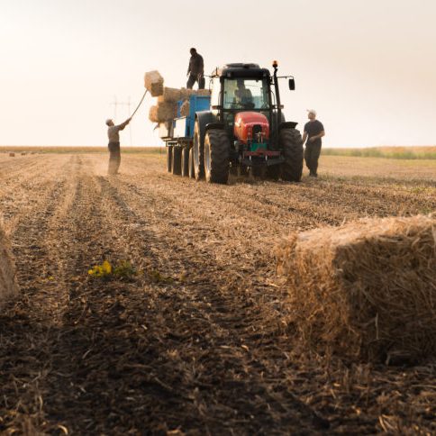 Lightening the load: Building personal and business resilience