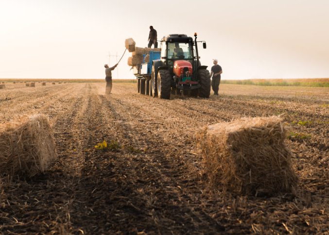 Lightening the load: Building personal and business resilience