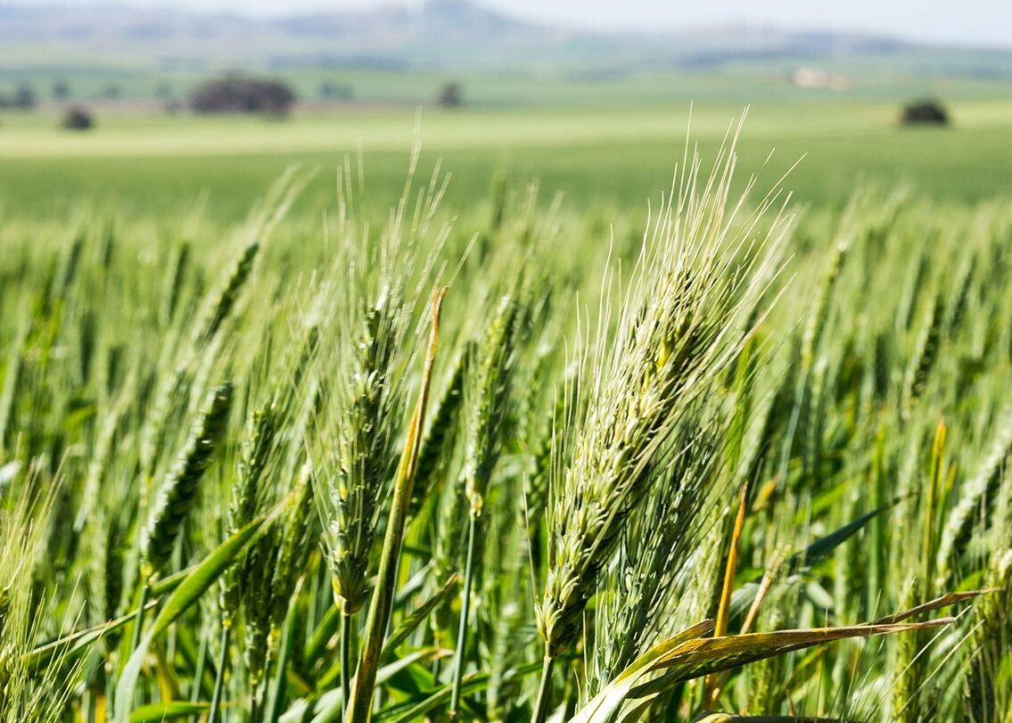 Contact financial services sa farm and business advice