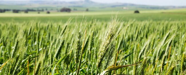 Contact financial services sa farm and business advice