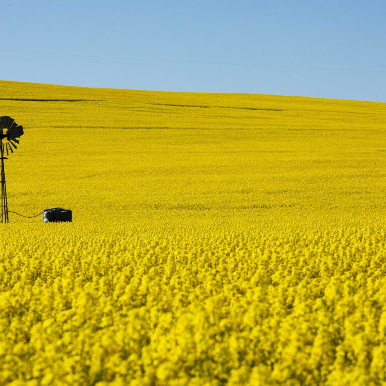 Aged Care Financial Planning