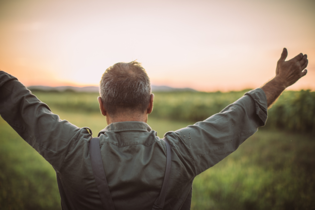 Celebrating Successes Celebrating Successes