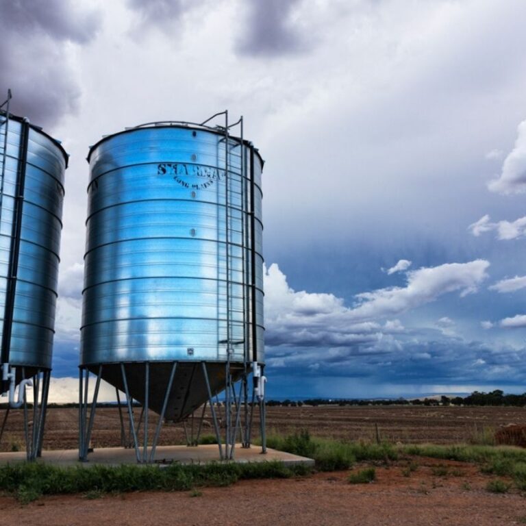 Risk management: You don't know how important it is, until you need it