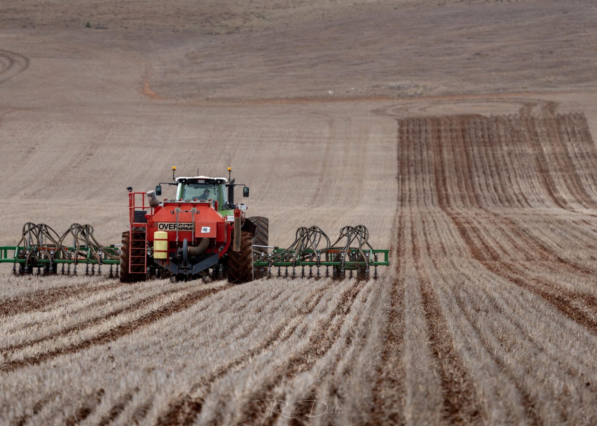 Grain production planning and business profitability Grain production planning and business profitability