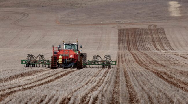 Grain production planning and business profitability