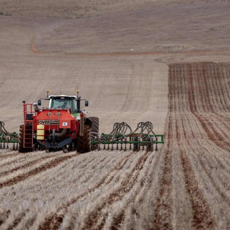 Grain production planning and business profitability