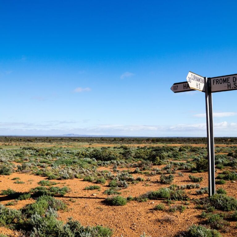 The Importance of Community