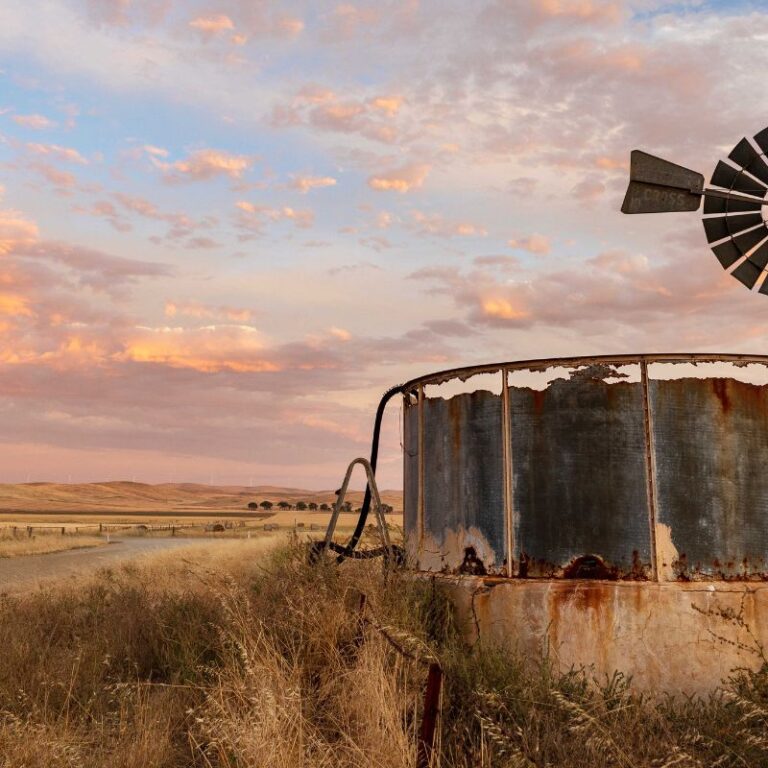 Establishing Farming Priorities