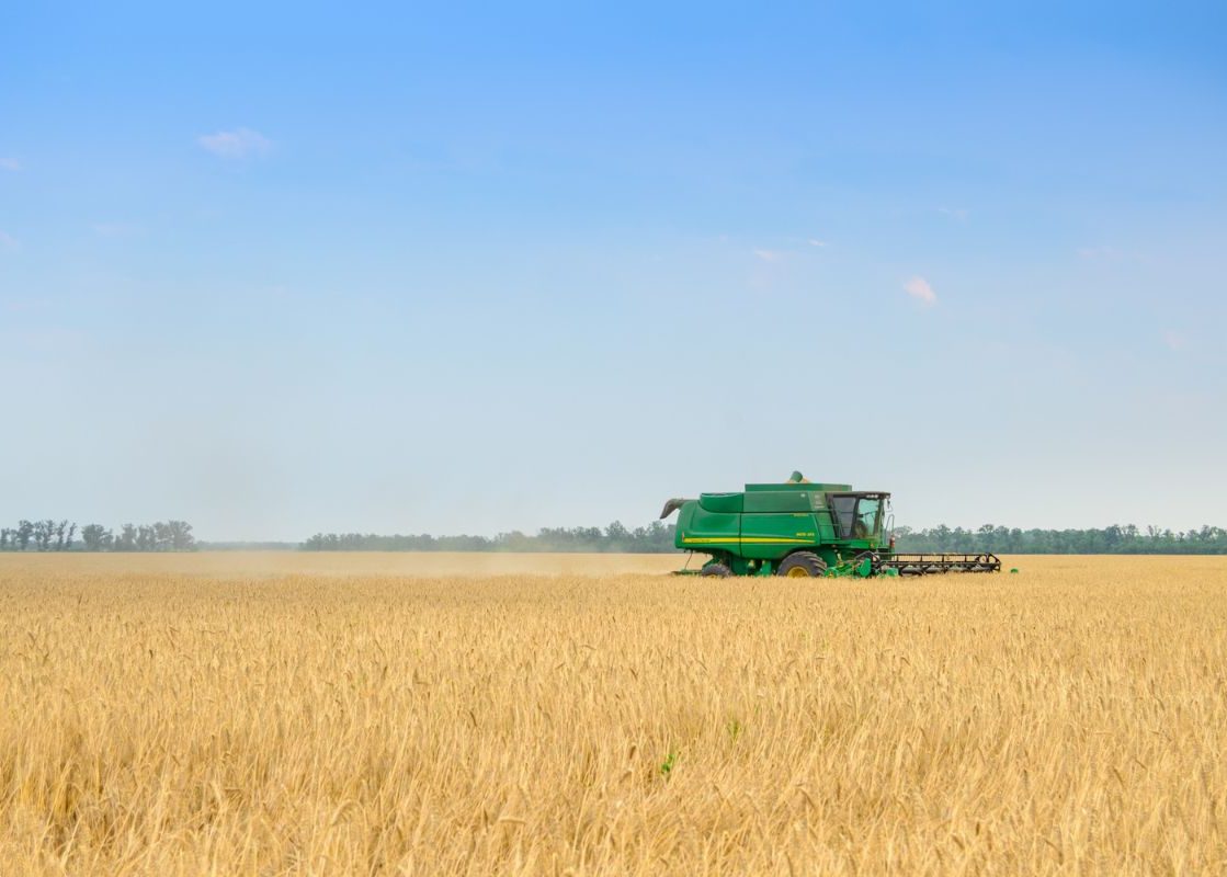 FSSA Blog Size Download as JPEG