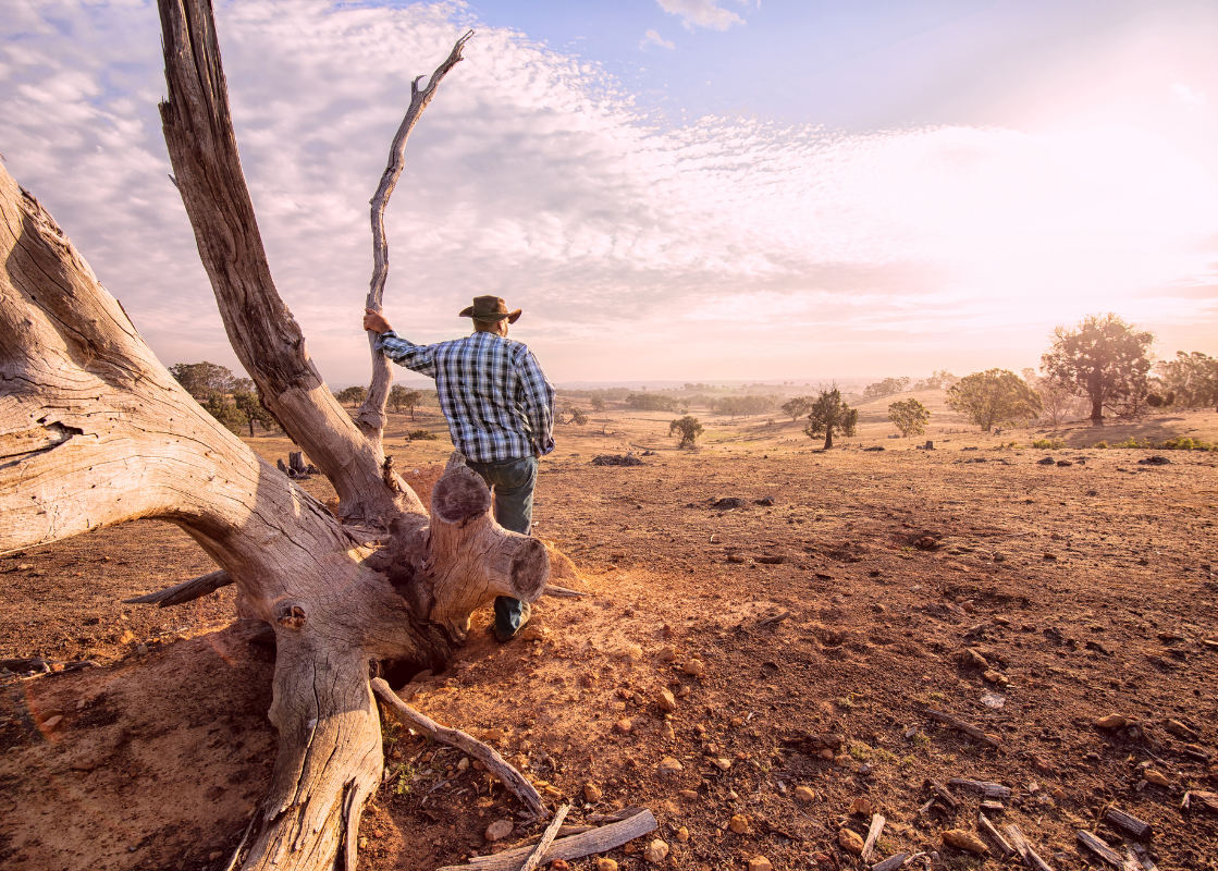 Activating Your Drought Management Plan Steps for Farmers Facing Drought blog