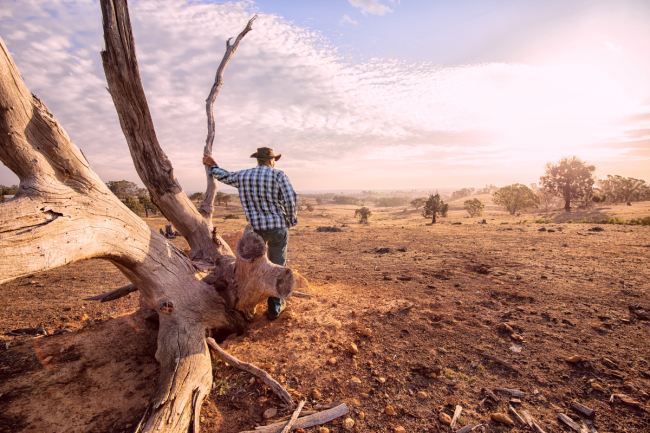 Activating Your Drought Management Plan Steps for Farmers Facing Drought blog