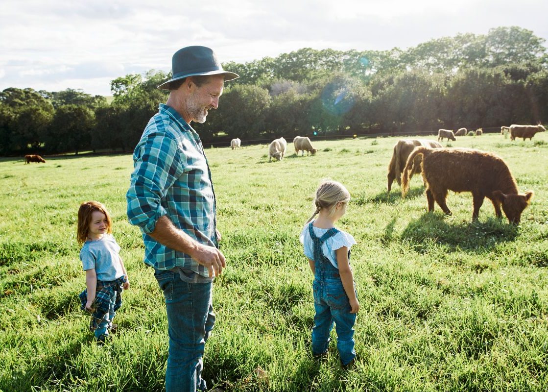 Farming Through Uncertainty Why Every Farmer Needs a Contingency Plan blog