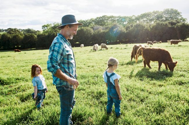 Farming Through Uncertainty Why Every Farmer Needs a Contingency Plan blog