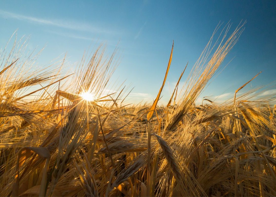 EOFY Isn’t Just About Tax – Why This Year’s Planning Could Shape the Next Decade on Your Farm blog