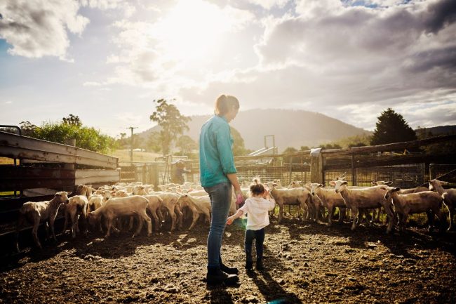 Succession in Dry Times Planning the Future When the Present is Uncertain blog